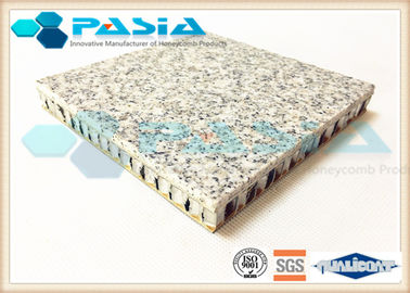 Porcellana i pannelli del granito del favo di spessore di 25mm, granito sottile riveste 600*600mm2 di pannelli fornitore