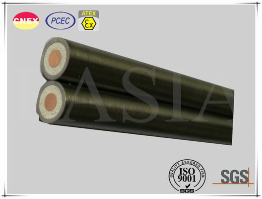 Single Core Heating Element of Mineral Insulated Cable for Industrial Use fornitore